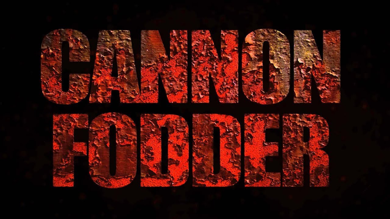 Cannon Fodder poster