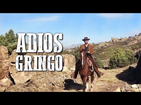 Adios Gringo poster