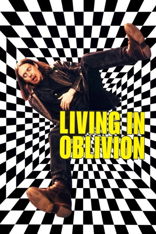 Living In Oblivion poster