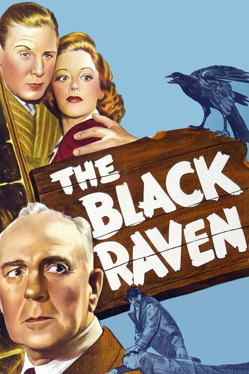 The Black Raven poster
