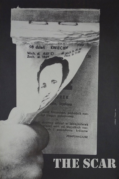 The Scar poster