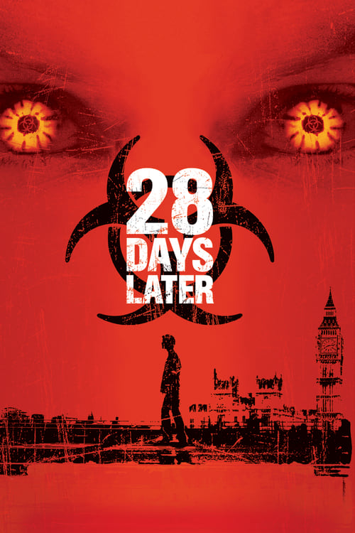 28 Days Later poster
