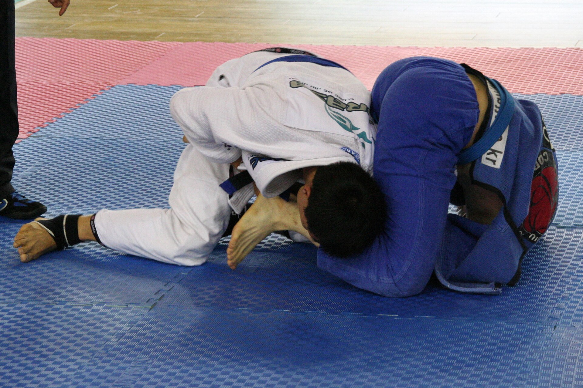 MMA fighters grappling on the canvas (file photo)