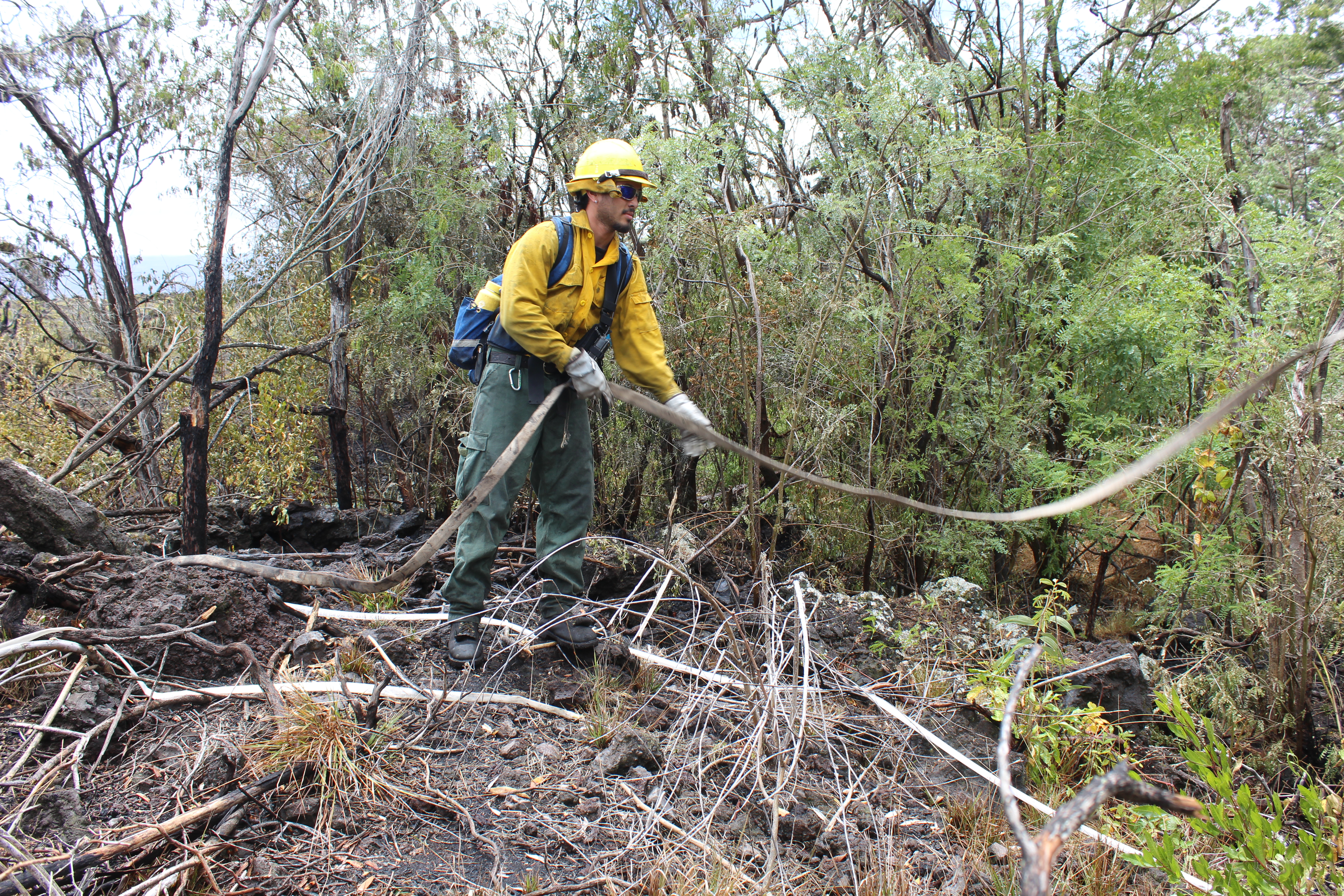 A firefighter working a hose line at a wildfire (file photo)