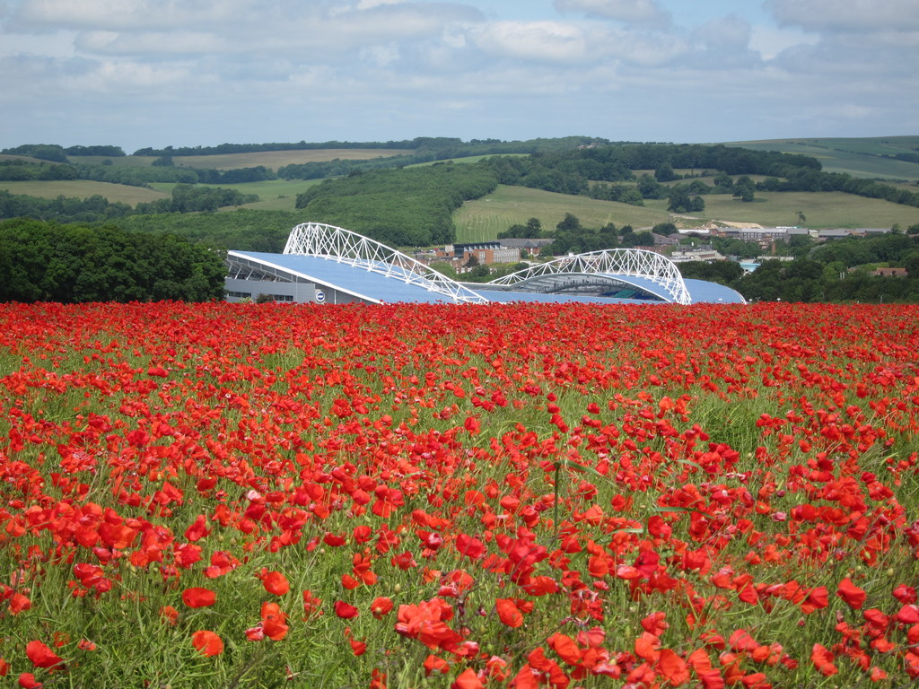 The Amex Stadium, home of Brighton and Hove Albion