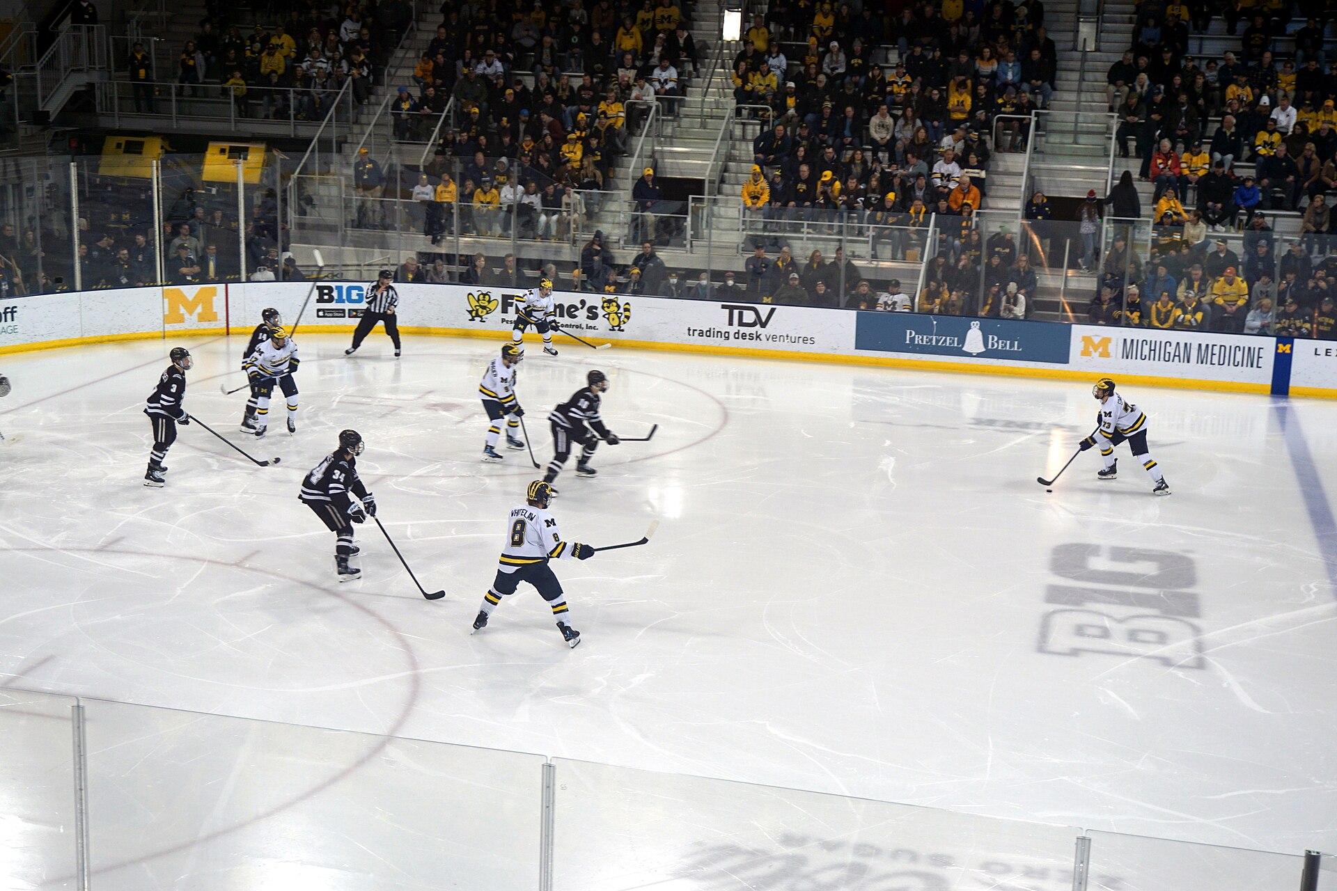 An ice hockey game in progress (file photo)