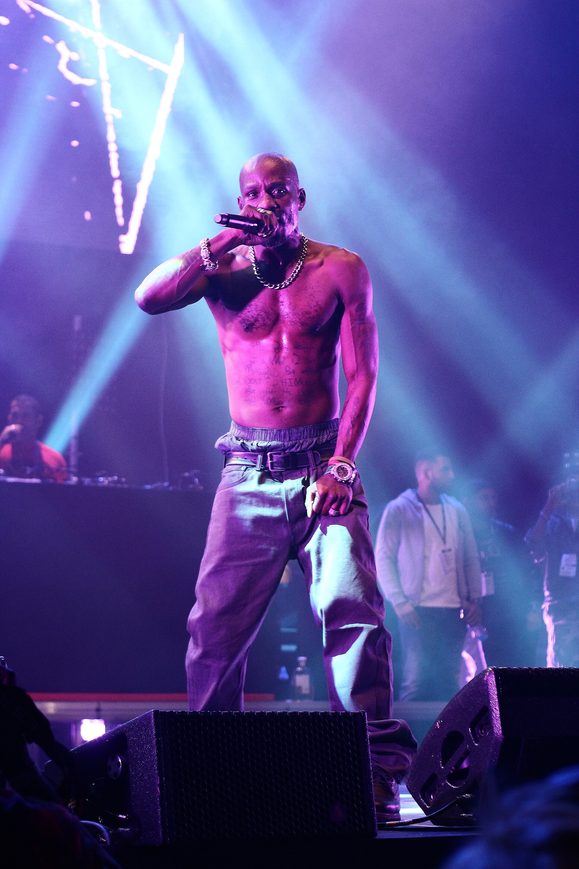DMX performing at Twenty Four Festival in 2014 — shirtless, microphone in hand, under stage lights — 2014 file photo