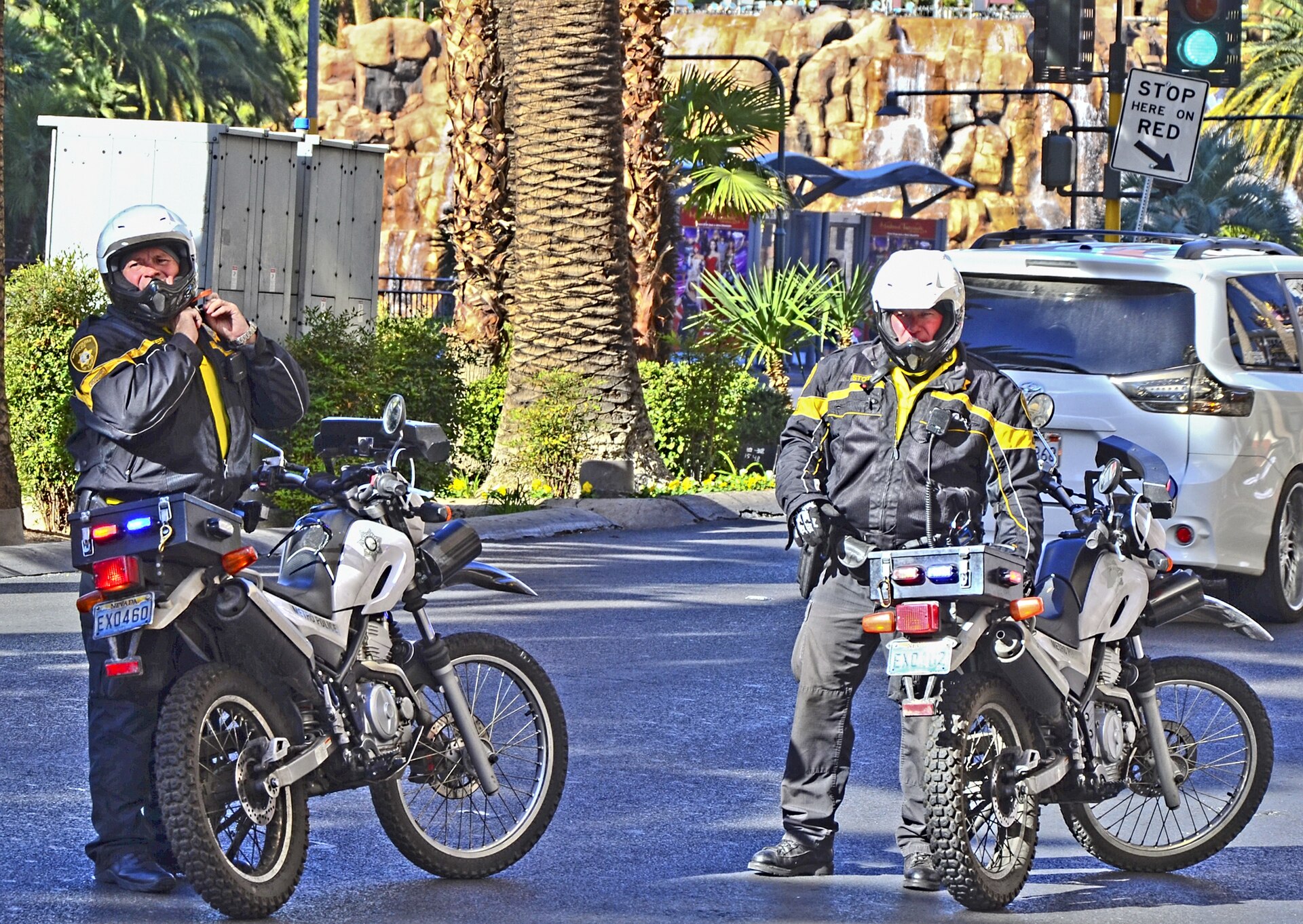 A Las Vegas Metropolitan Police Department patrol vehicle (file photo)