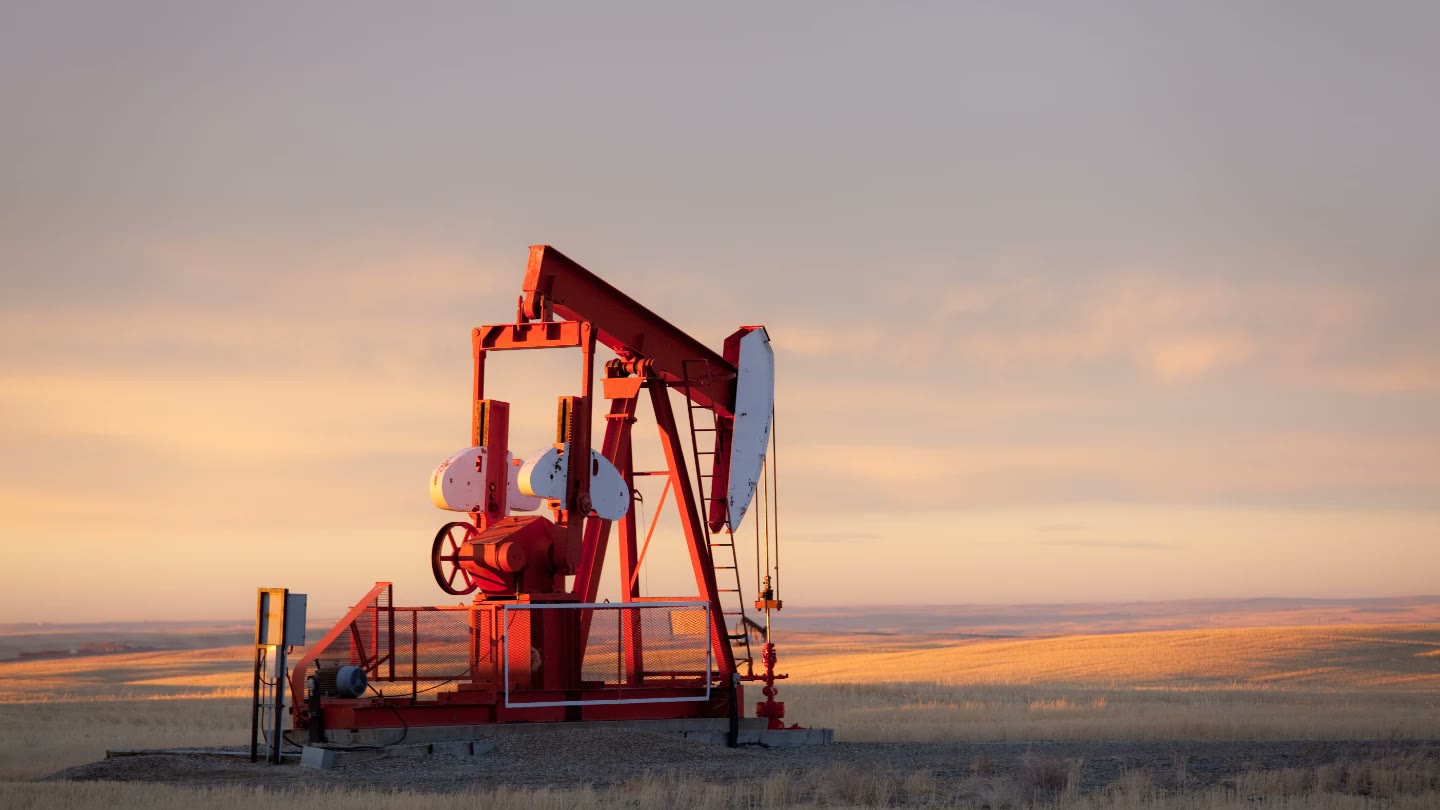 G7 Leaders Agree to Release 100 Million Barrels of Oil and Diesel From Emergency Reserves