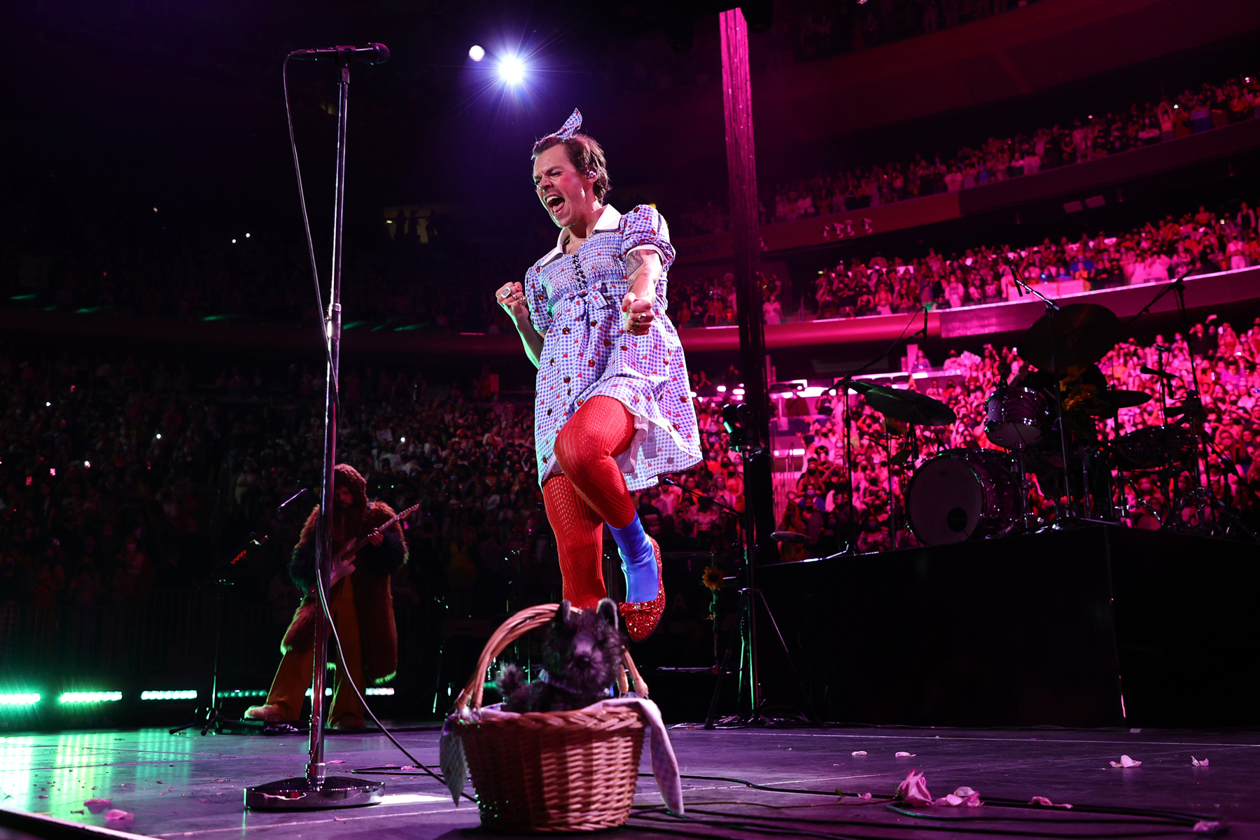 Harry Styles performing as Dorothy from The Wizard of Oz — gingham dress, ruby slippers, Toto basket — at Harryween, Madison Square Garden, 2021