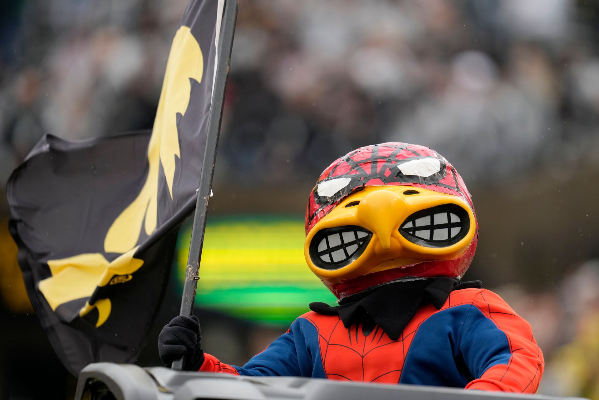Herky the Hawk, Iowa's mascot, dressed in a Spider-Man costume and waving an Iowa flag at Kinnick Stadium on Halloween