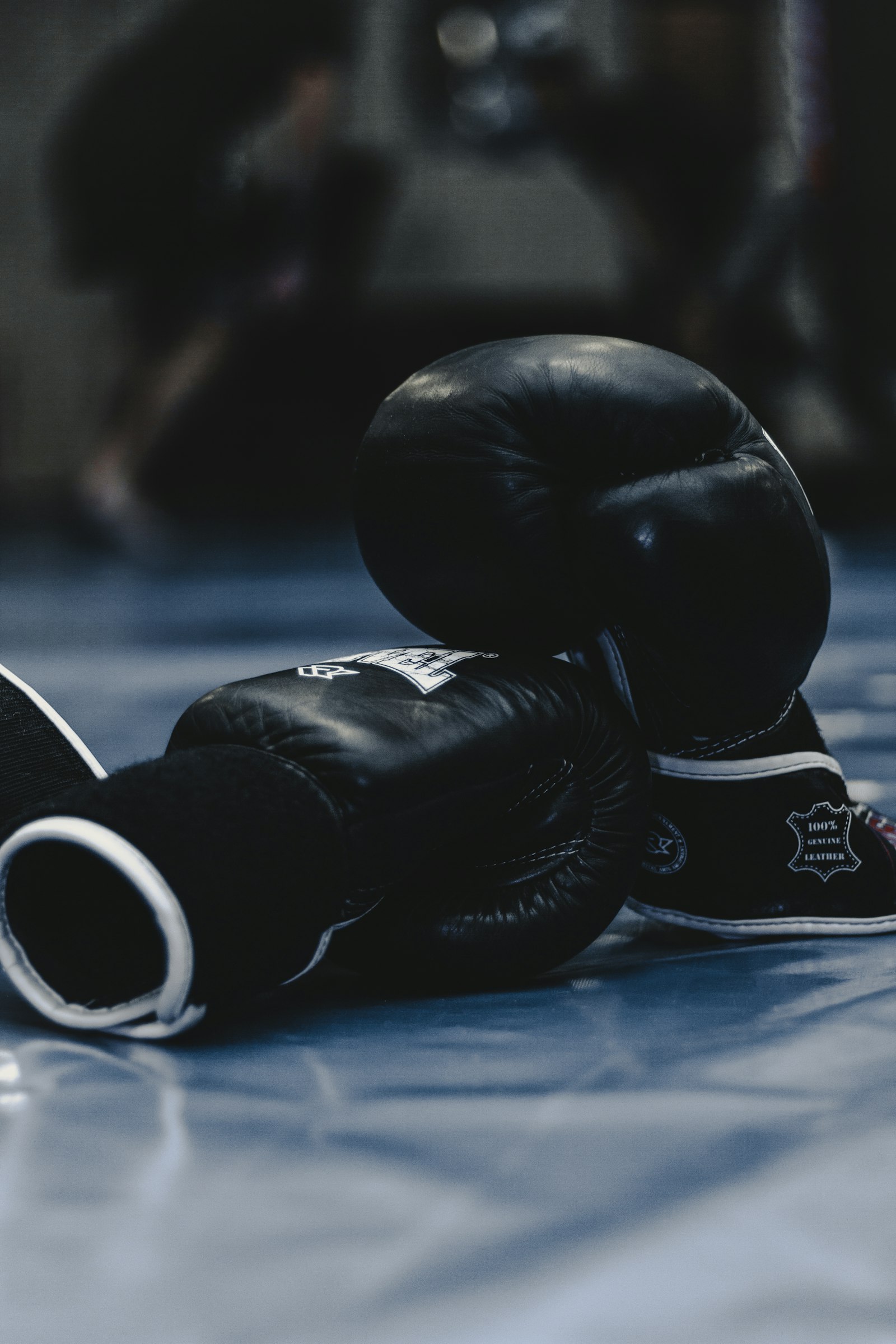 Boxing gloves and a ring under bright lights (file photo)