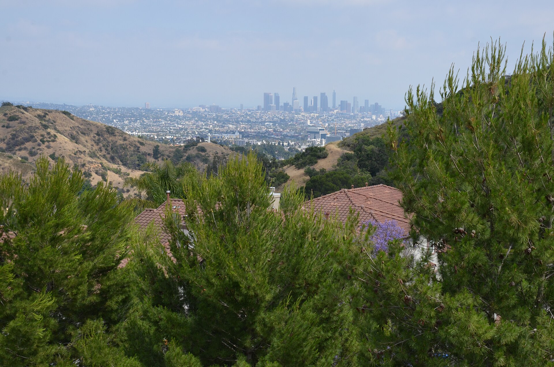 The downtown Los Angeles skyline on a bright day (file photo)
