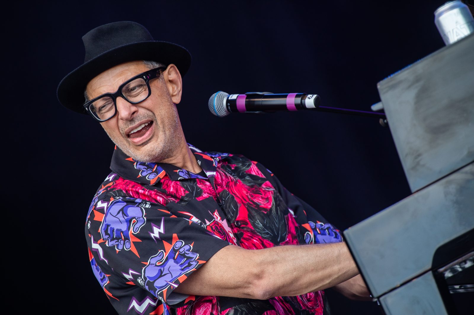 Jeff Goldblum, who has joined the voice cast of Lizard Music