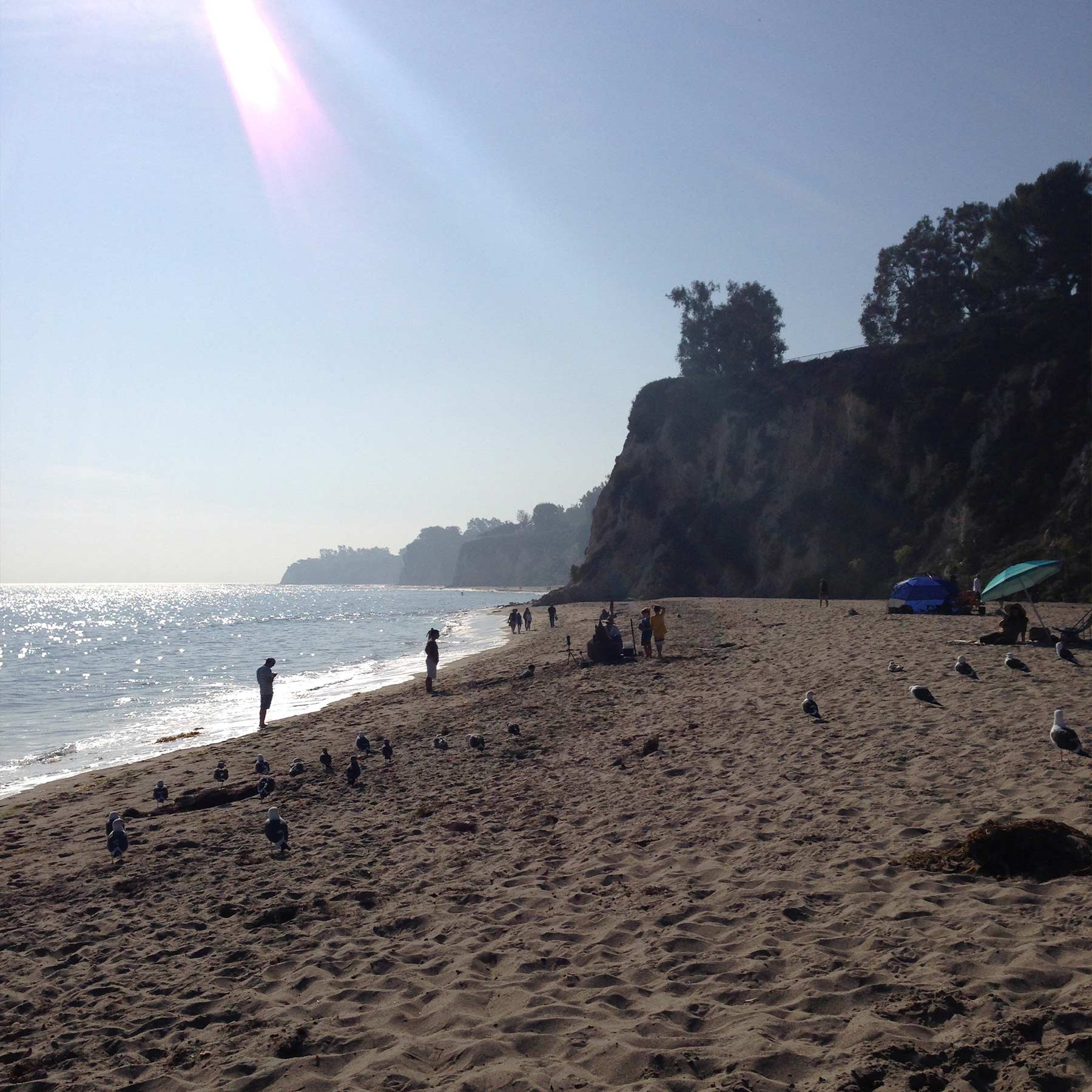 The beach at Paradise Cove, Malibu, California