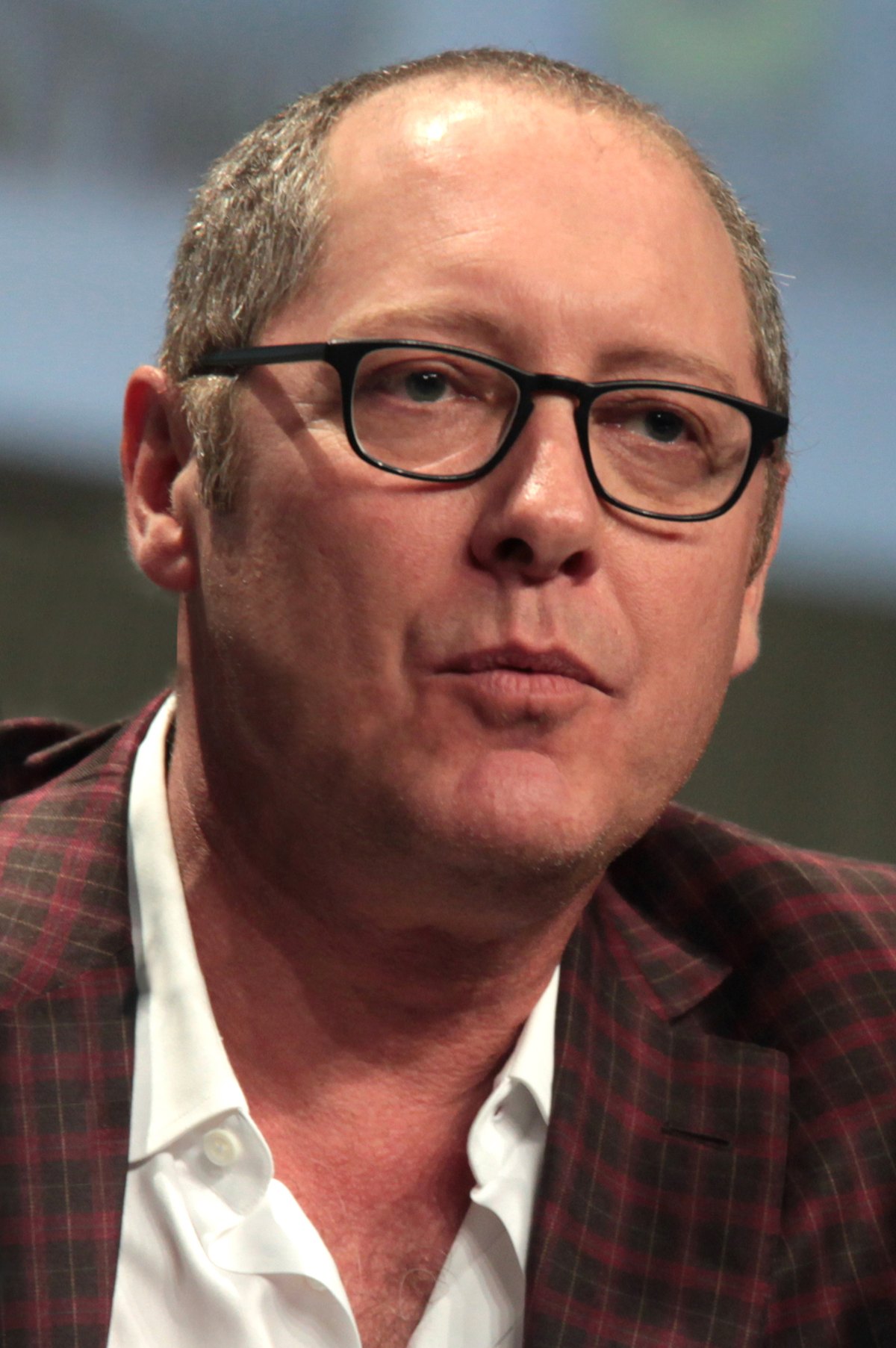 James Spader, who returns as Ultron in VisionQuest