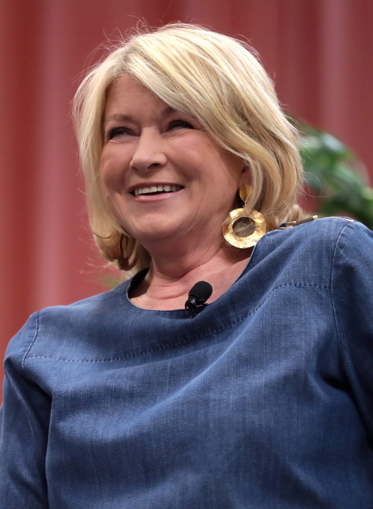 Martha Stewart — the debut episode of MasterClass's 'Other People's Business' traces her empire, her losses and her comeback.