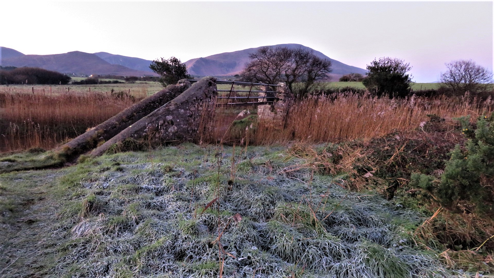 Frost coating the ground on a cold morning (file photo)