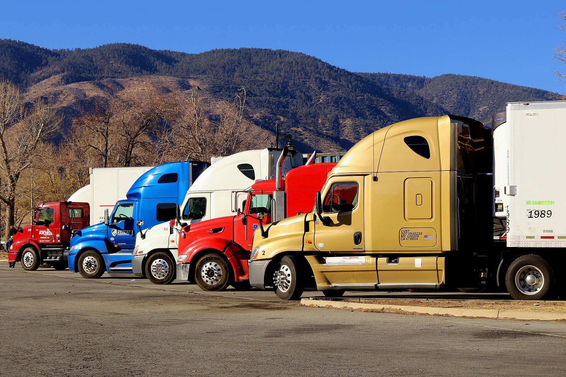 Colorful American semi-trucks lined up at a rest area on a bright day.