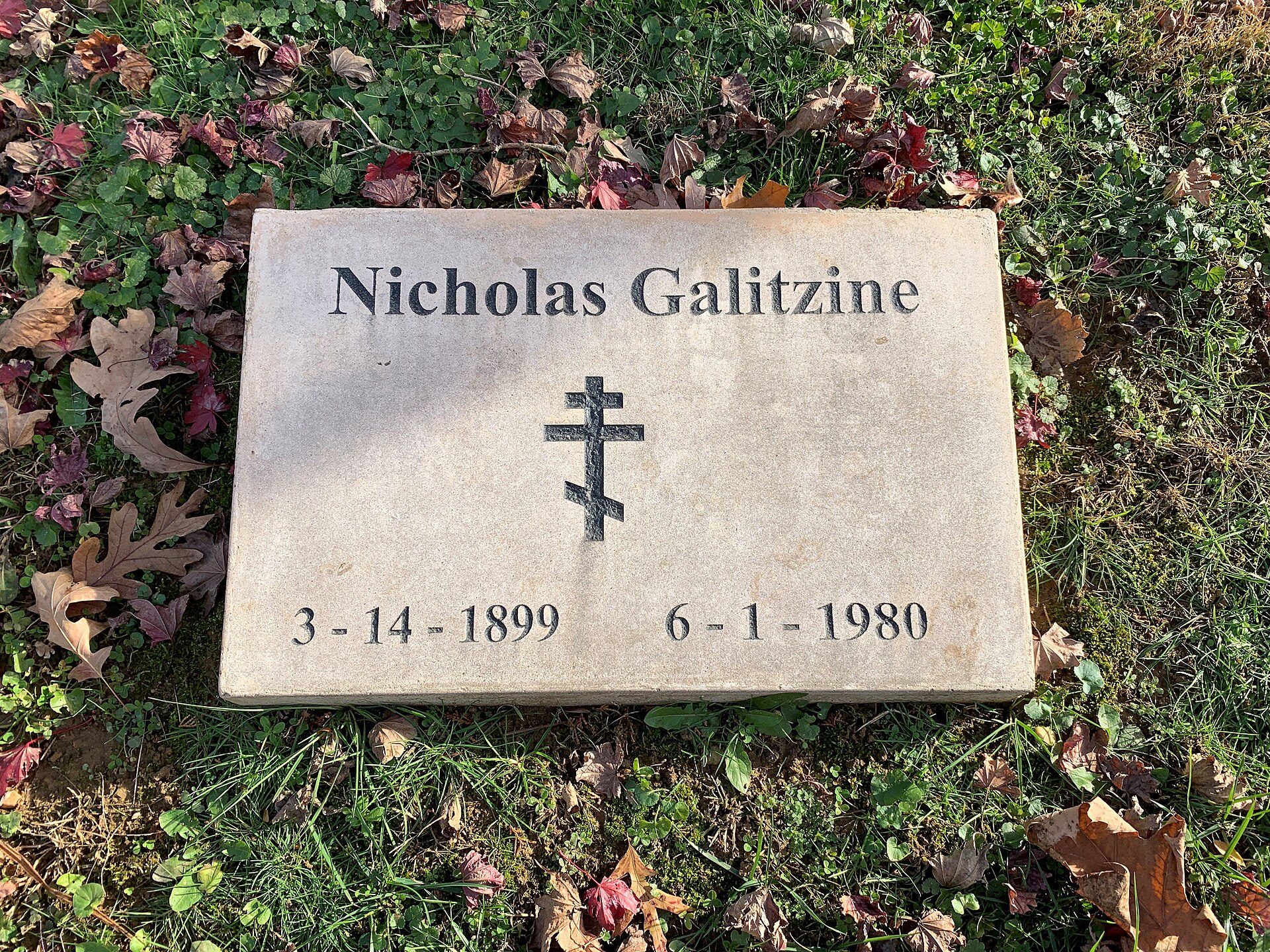 Nicholas Galitzine, who plays John McLaughry in The Mosquito Bowl