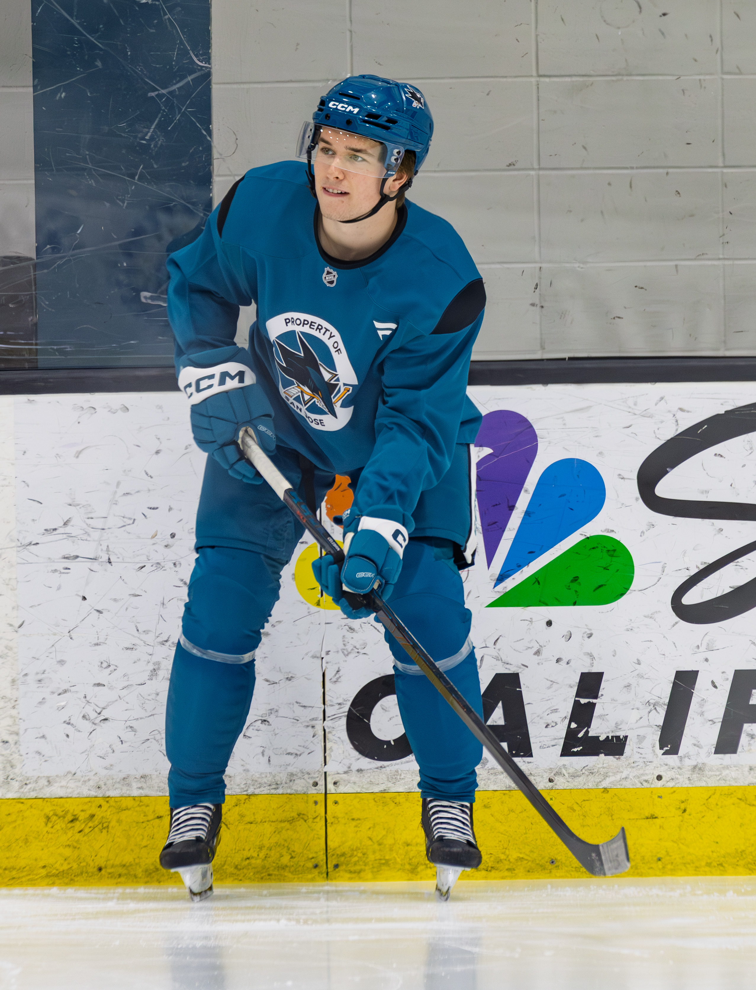 Macklin Celebrini of the San Jose Sharks (file photo)