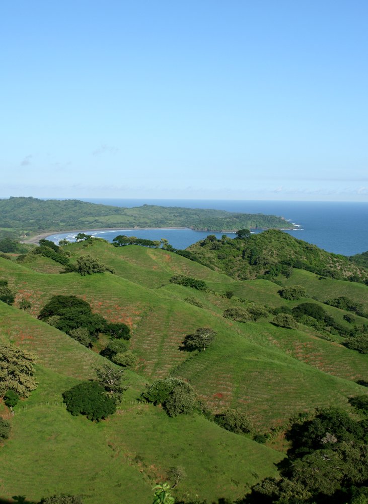 The Pacific coastline of Panama's Azuero Peninsula near Pedasí — green hills meeting the ocean on the coast now under a tsunami threat