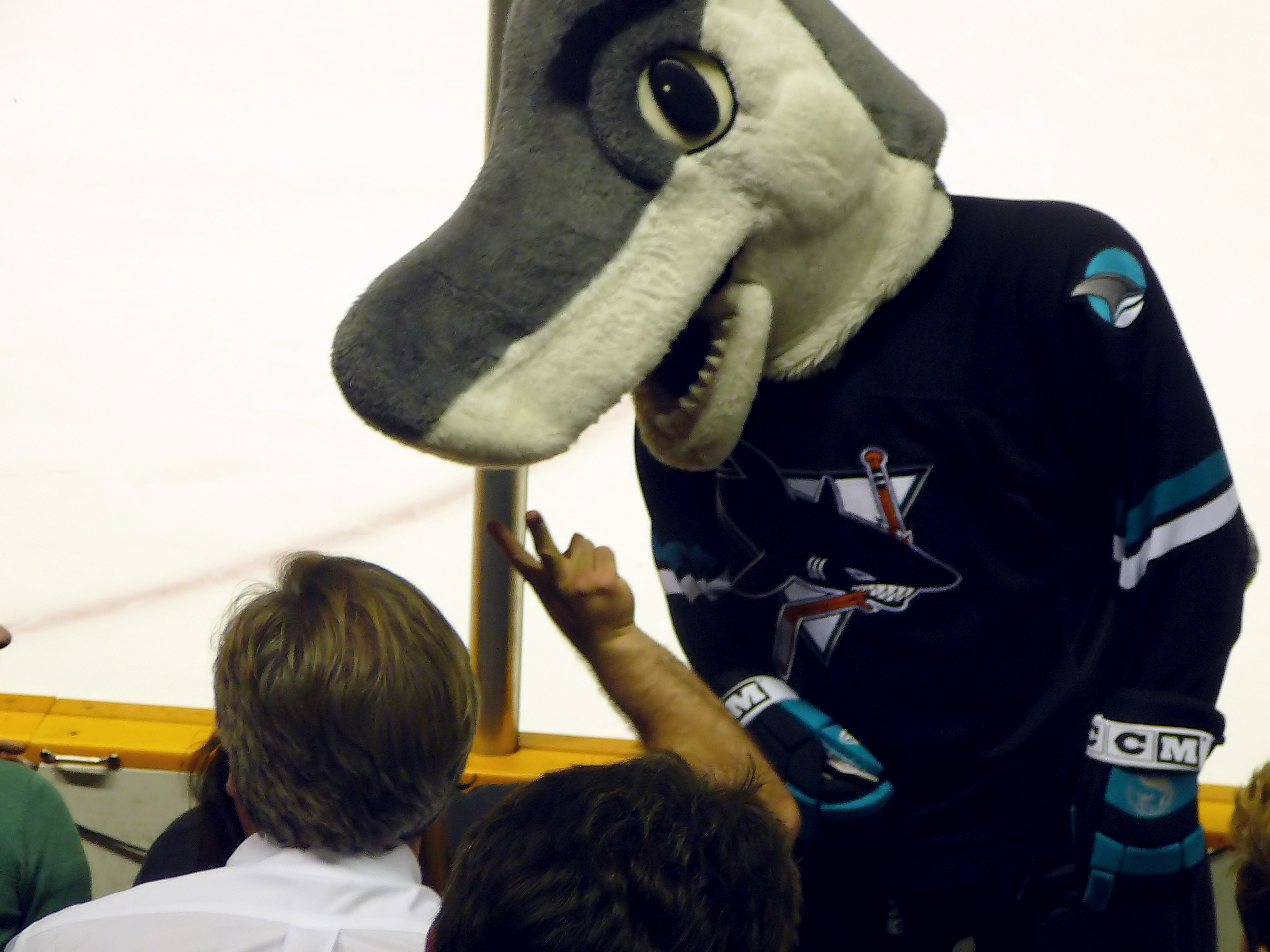 S.J. Sharkie, the San Jose Sharks mascot, leaning toward fans at the glass (file photo)