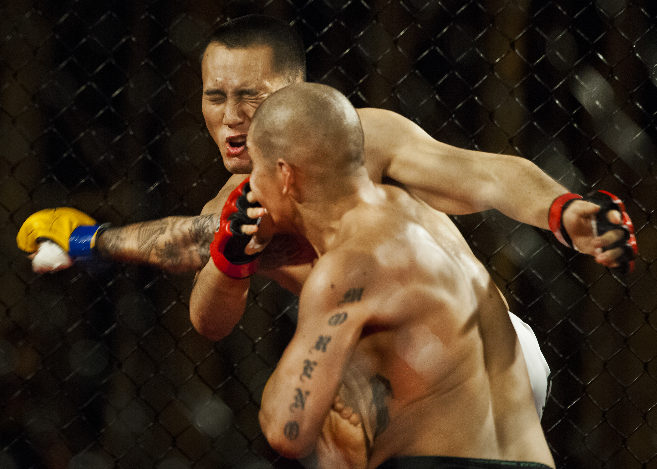 A punch lands in an MMA bout — file photo