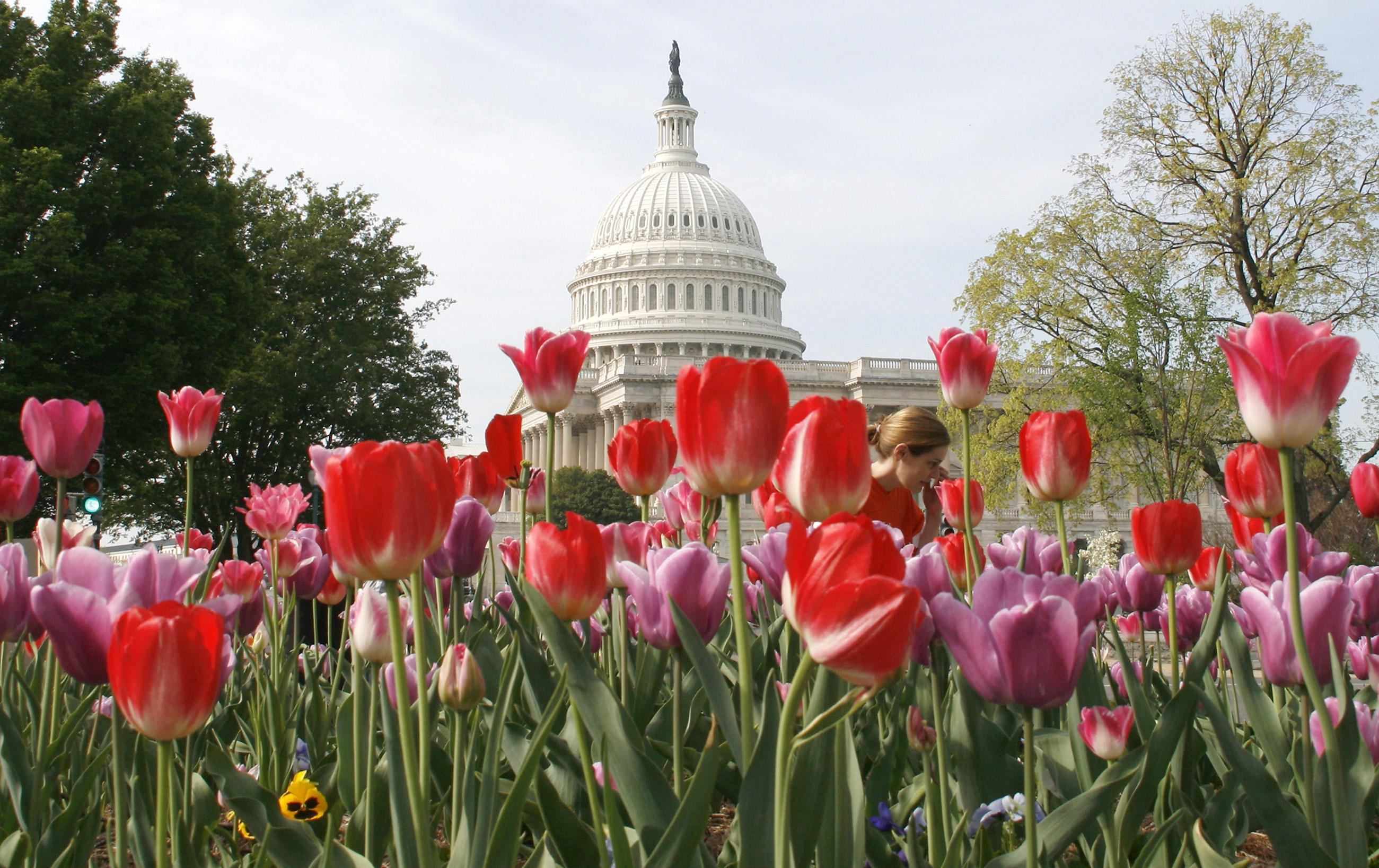 The U.S. Capitol seen from Senate Park in Washington, D.C. (file photo)