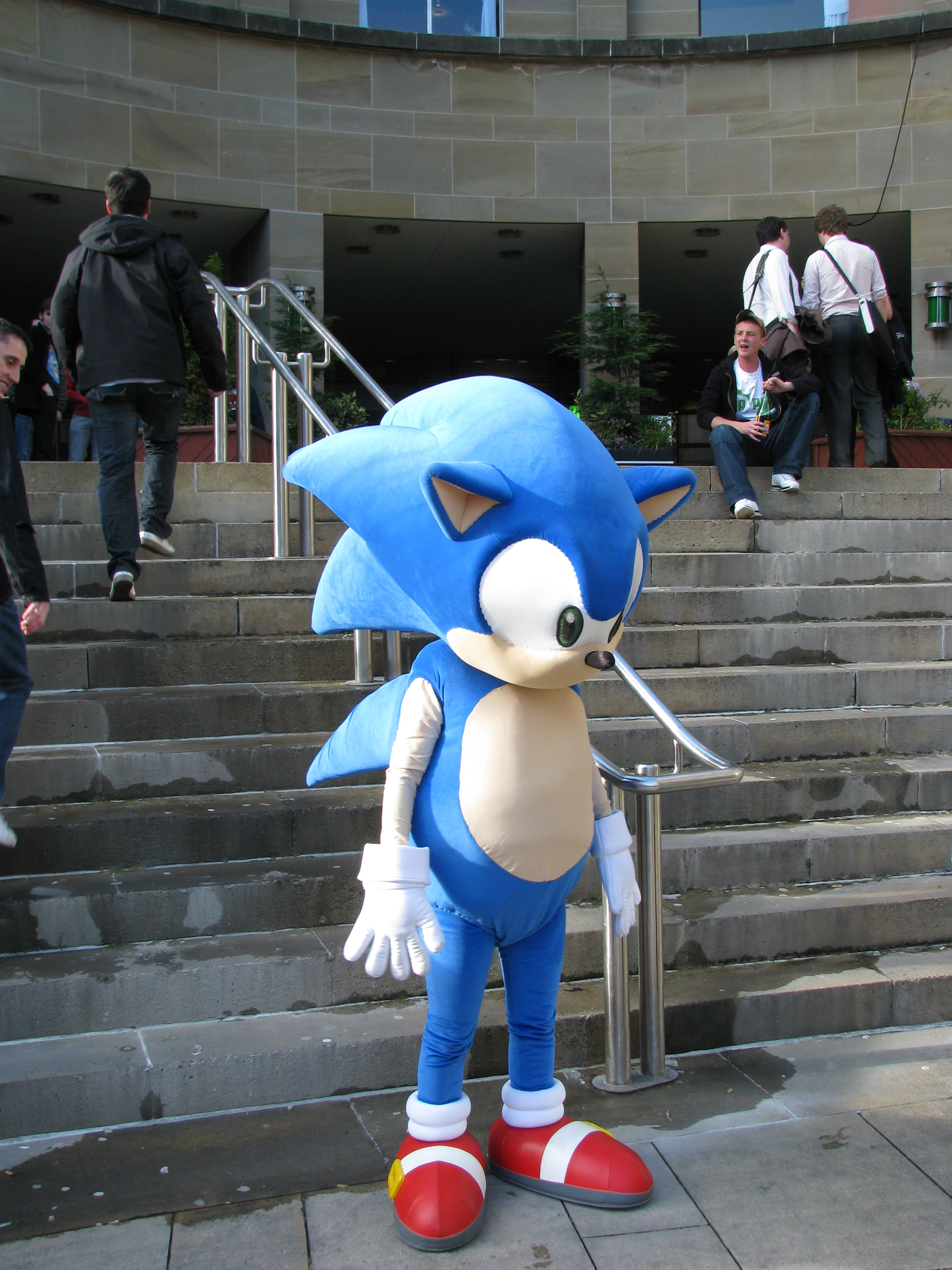 Sonic the Hedgehog mascot at a fan event (file photo)