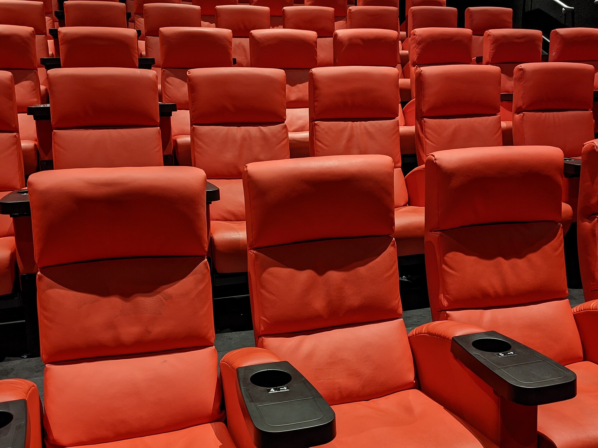A cinema screening (file photo)
