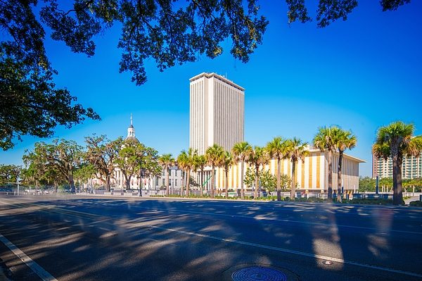 Monroe Street in downtown Tallahassee near the Florida Capitol.