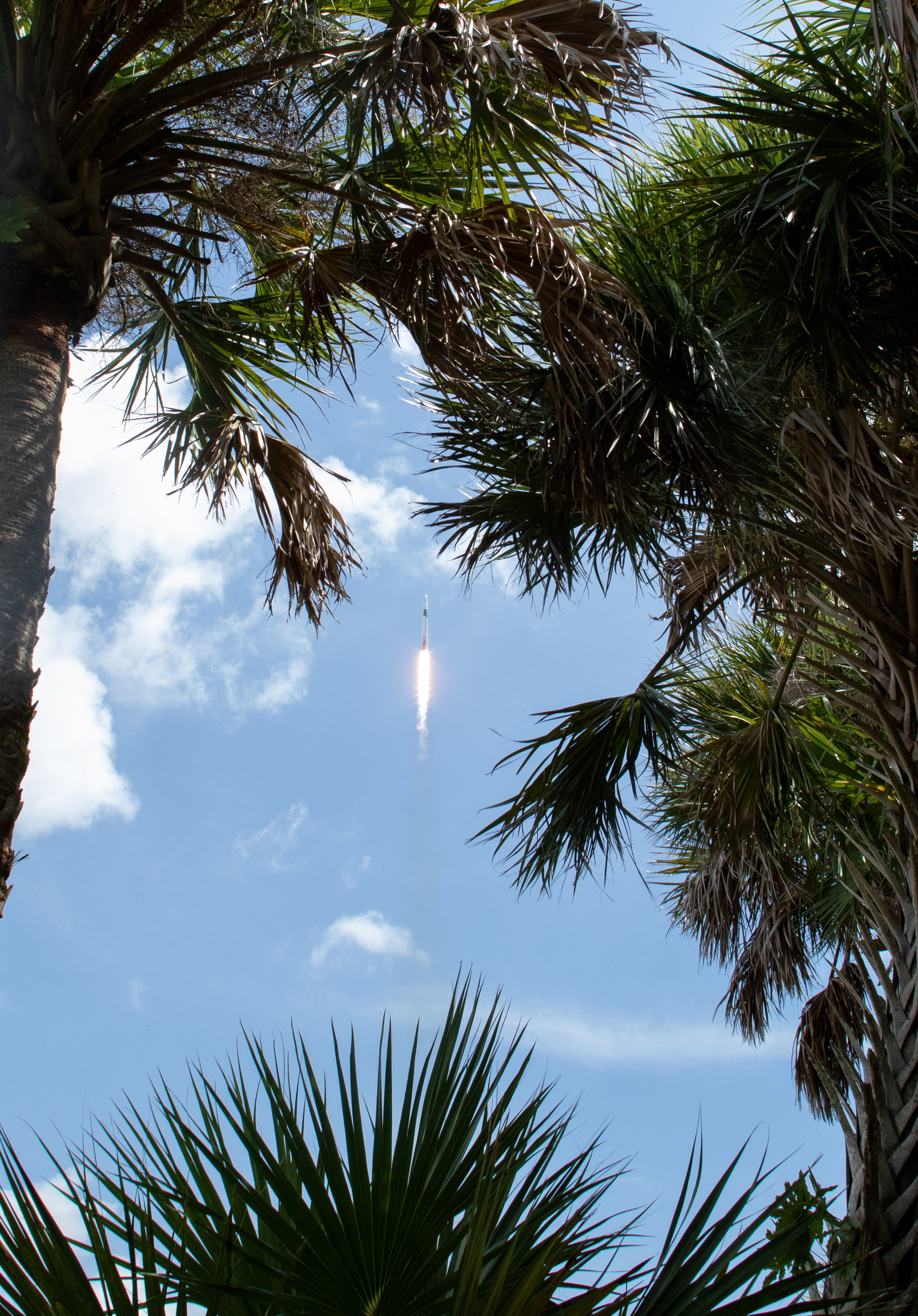 A SpaceX Falcon 9 rocket carrying a Dragon spacecraft lifts off from Launch Complex 39A at NASA's Kennedy Space Center in Florida