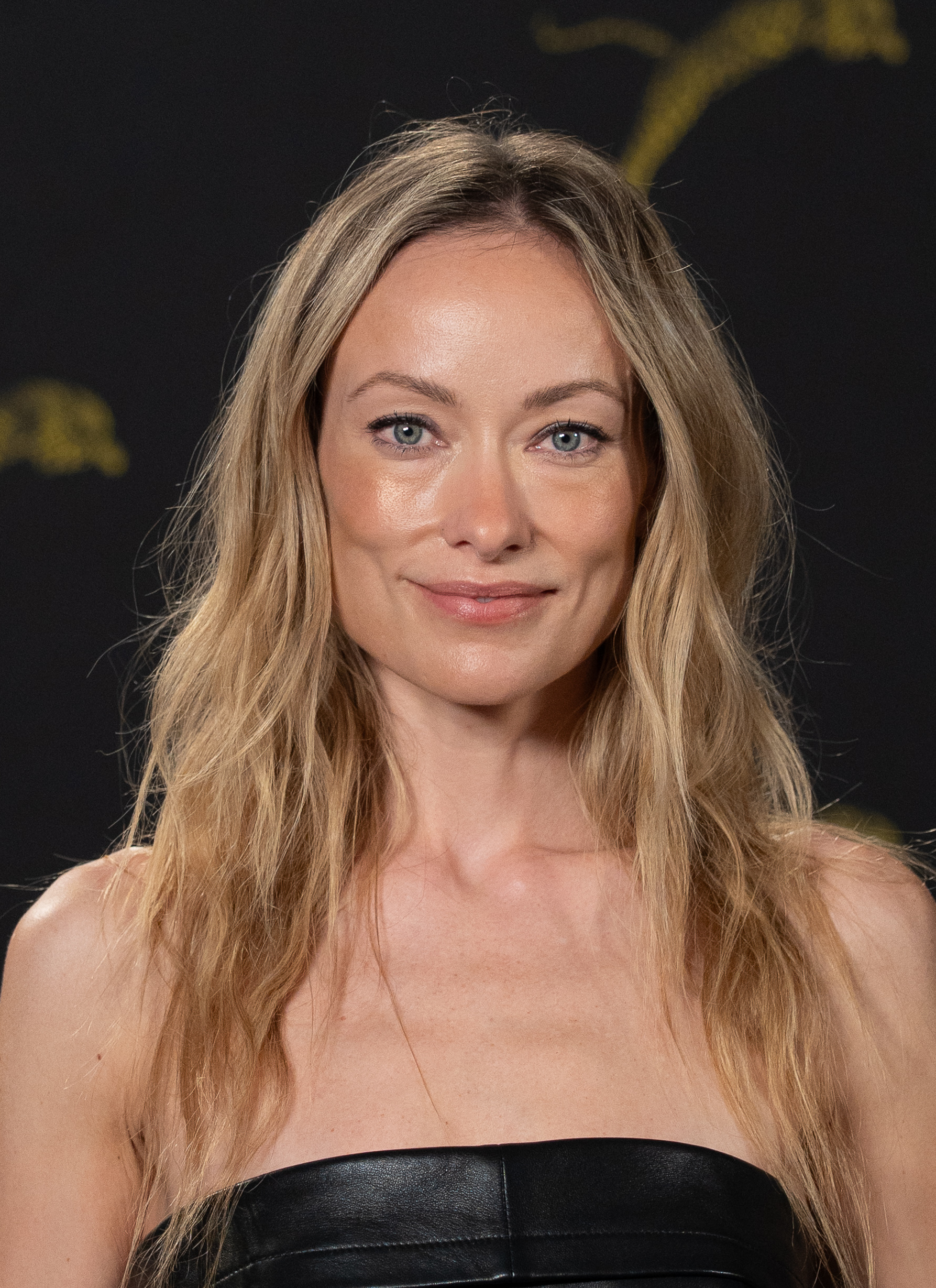 Olivia Wilde at a photocall at the 79th Locarno Film Festival in 2026 (file photo)
