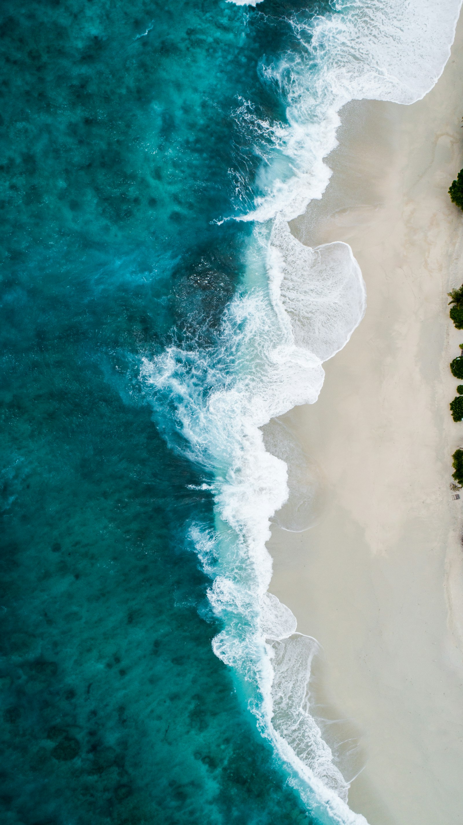 Bright tropical shoreline and clear water, the kind of island coast Jim Hawkins dreams of reaching