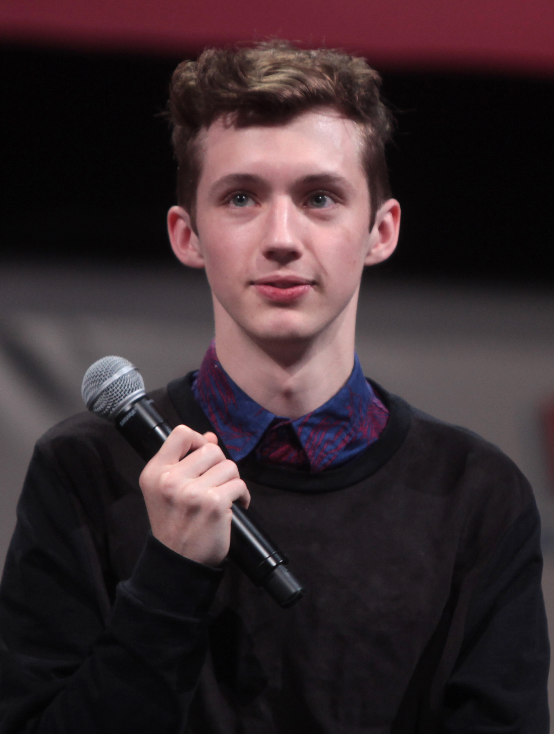 Troye Sivan (file photo)