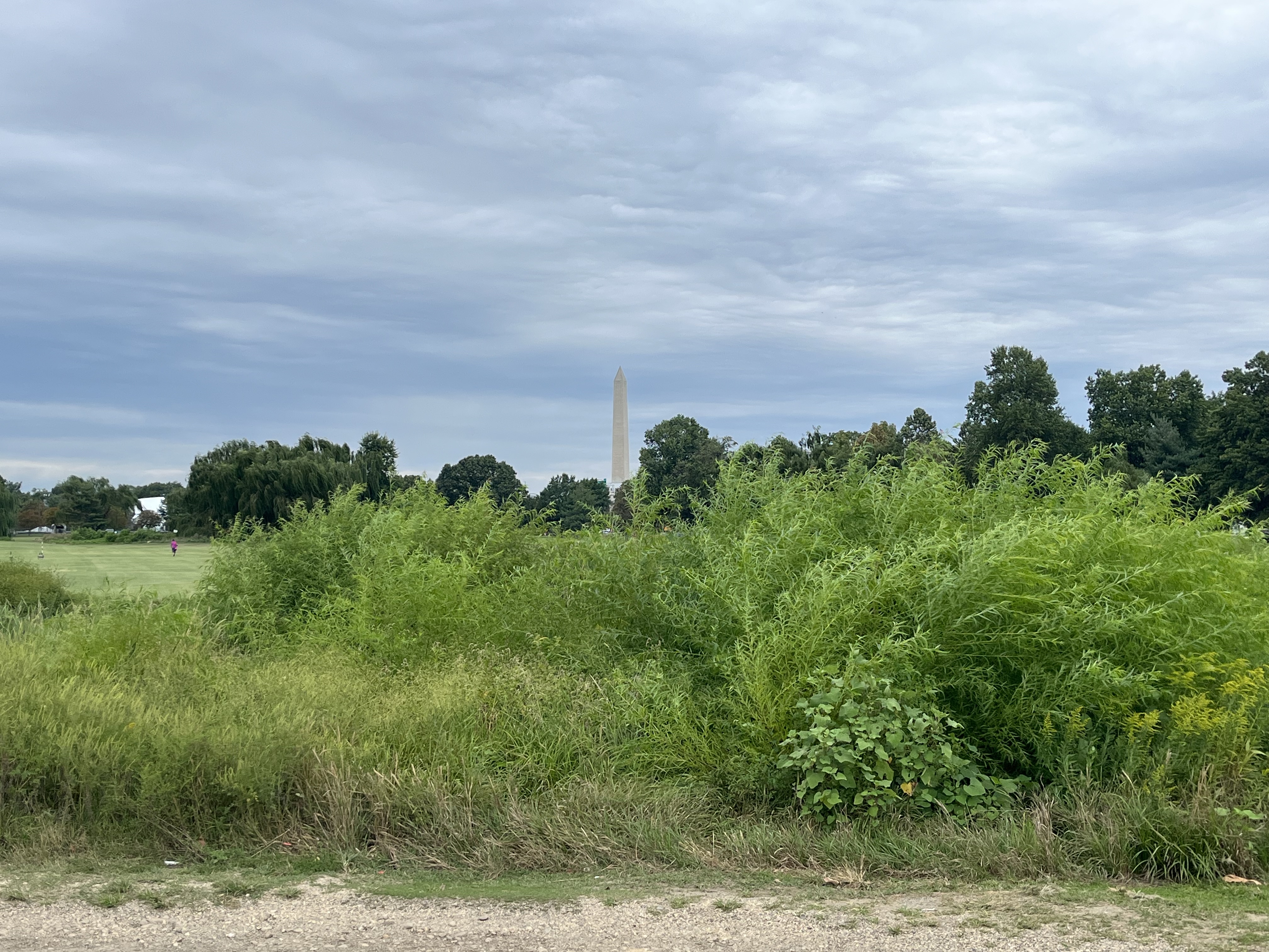 View of the Washington Monument from East Potomac Golf Links, file photo