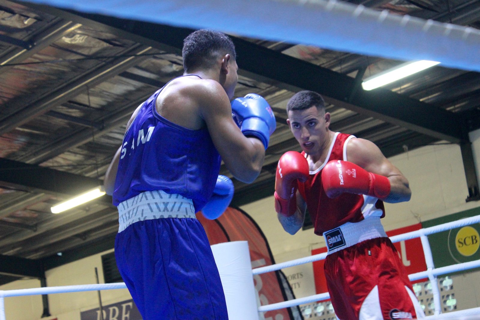 Two boxers contest a middleweight title fight under arena lights (file photo)