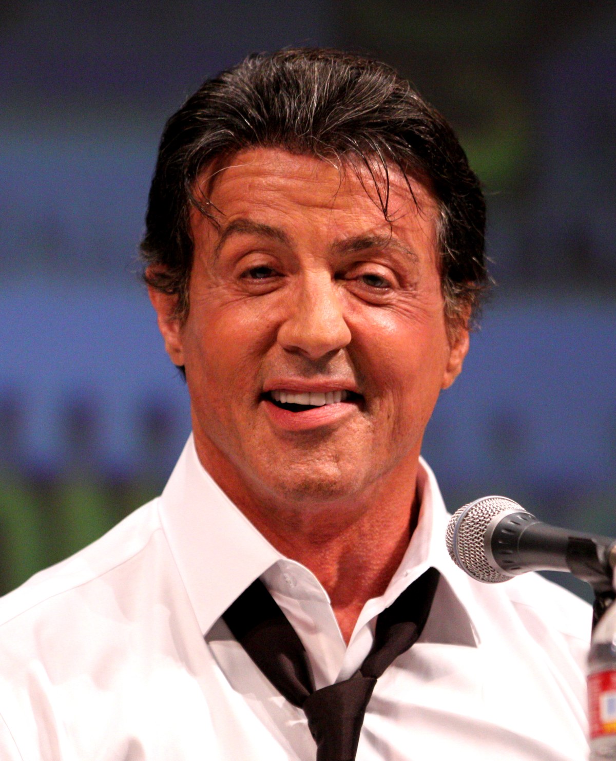 Sylvester Stallone, star of Tulsa King (file photo)