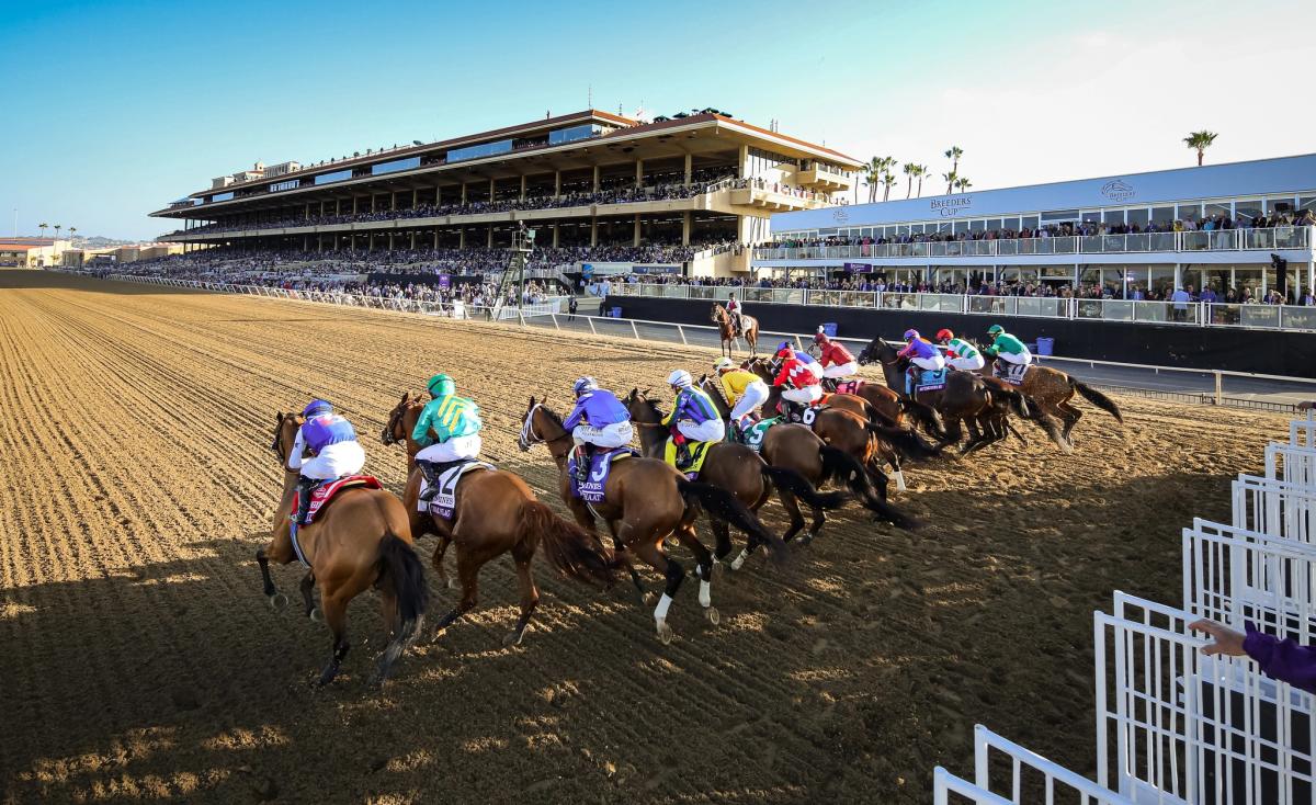 Horses break from the starting gate on a sunny race day