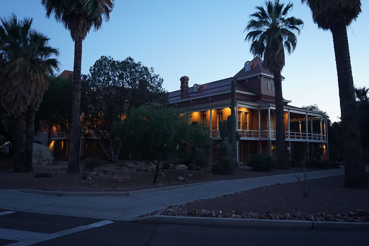 Old Main framed by palm trees on the University of Arizona campus.