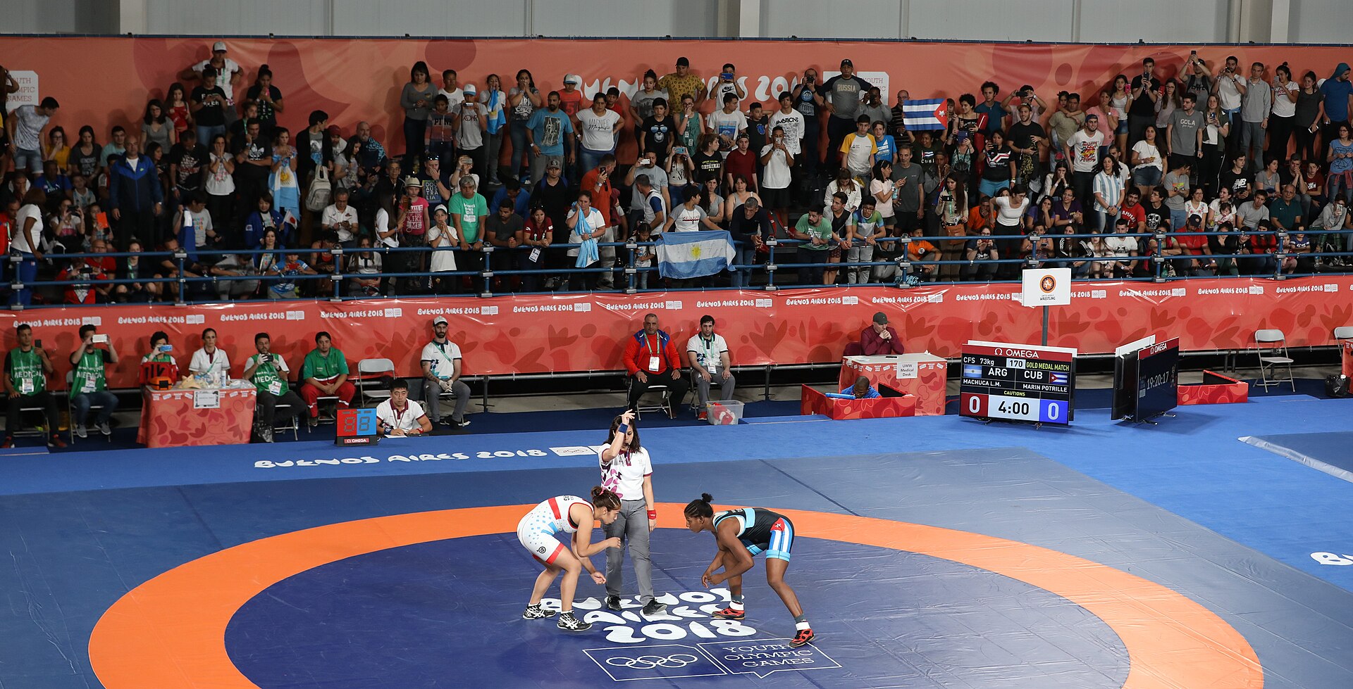 A women freestyle wrestling gold-medal match (file photo)