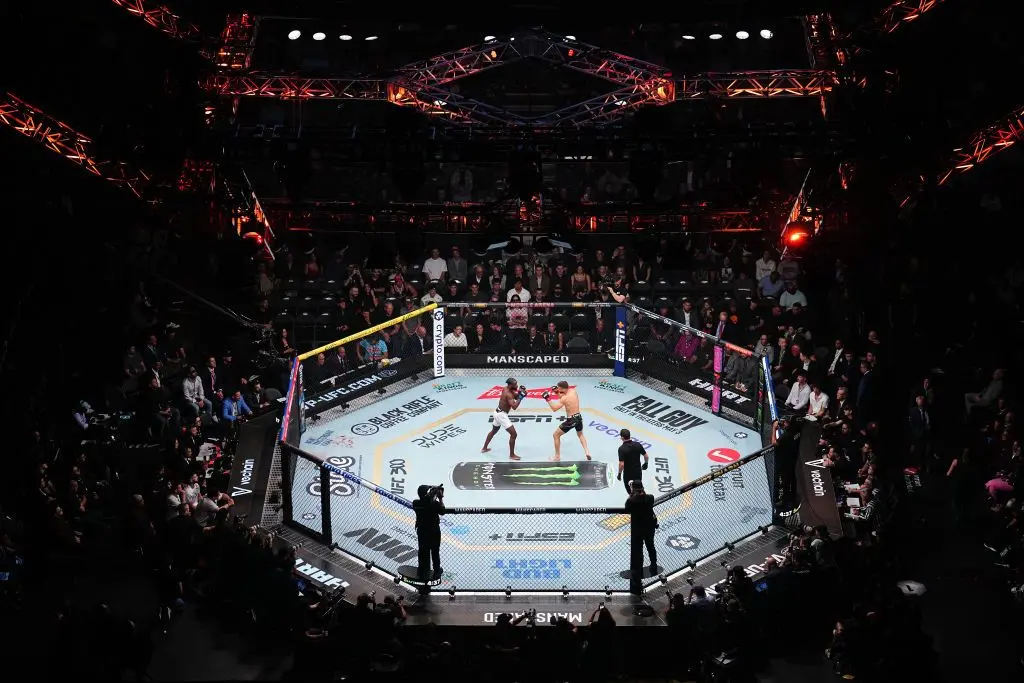 Two UFC fighters square off under the arena lights