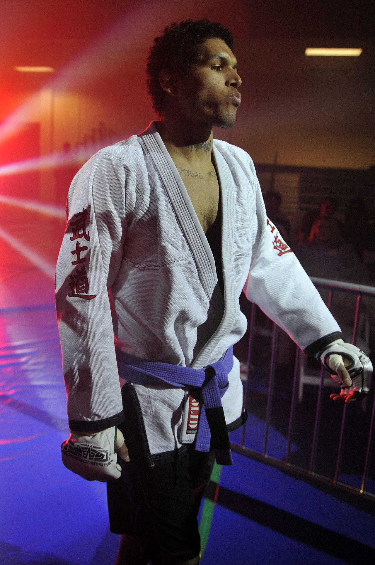 Fighters in the octagon during an MMA fight night (file photo)