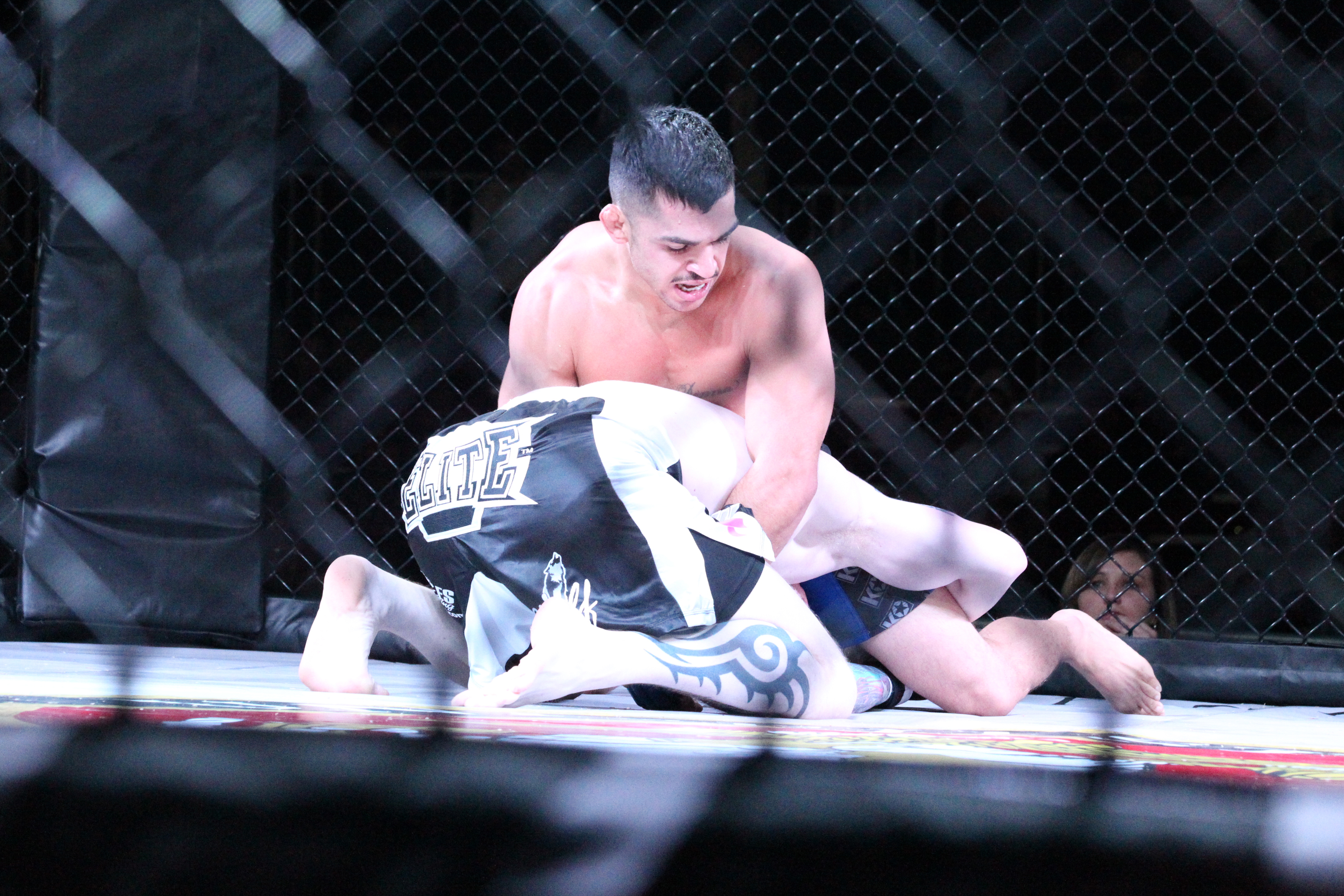 Two fighters grapple on the mat inside a caged MMA ring — file photo