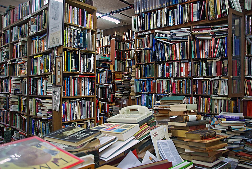 Readers browsing inside a bright modern library reading space