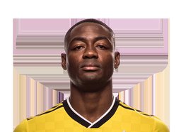 Fanendo Adi